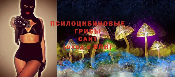 прущая мука Краснослободск