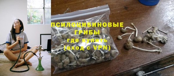прущая мука Краснослободск