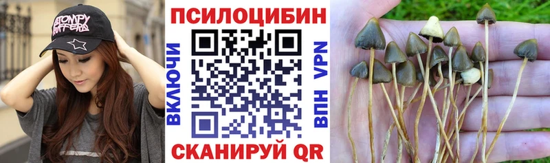 Купить закладки  Вичуга  Галлюциногенные грибы прущие грибы 