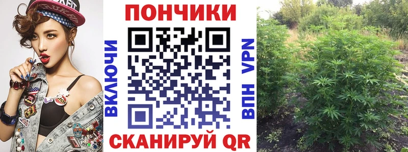 Купить  Вичуга  Канабис сатива 